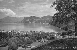 HERGISWIL → Gesamtansicht Aus Der Ferne Gegen Den Lopper Gesehen 1948 - Hergiswil