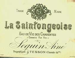 17...tesson  La Saintongeoise    Eau De Vie Des Charentes  Seguin Aimé  Carte De Visite - Autres & Non Classés