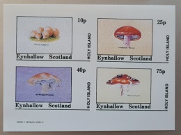 EYNHALLOW CHAMPIGNONS, CHAMPIGNON, MUSHROOM, Setas,  (serie Non Officielle) **. MNH, - Champignons