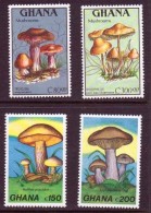 GHANA CHAMPIGNONS, CHAMPIGNON, MUSHROOM, Setas,  Yvert N°1026/29 ** MNH - Champignons