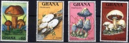 GHANA CHAMPIGNONS, CHAMPIGNON, MUSHROOM, Setas,  Yvert N°1060/63 ** MNH - Mushrooms