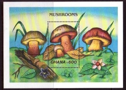 GHANA CHAMPIGNONS, CHAMPIGNON, MUSHROOM, Setas,  Yvert BF 143 ** MNH - Champignons