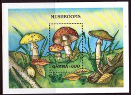 GHANA CHAMPIGNONS, CHAMPIGNON, MUSHROOM, Setas,  Yvert BF 145 ** MNH - Champignons