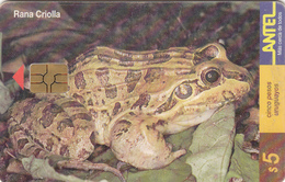 Delcampe - Uruguay - Phonecard - Superb Fine Used Phonecard - Uruguay