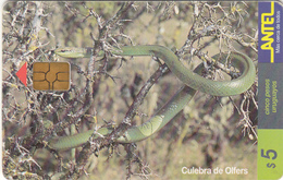 Delcampe - Uruguay - Phonecard - Superb Fine Used Phonecard - Uruguay