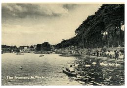 (PH 876) Very Old Postcard - UK - Windsor Promenade - Windsor