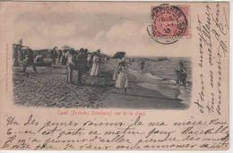 66-  300546 -  CANET  -  Vue Sur La Plage - Canet En Roussillon