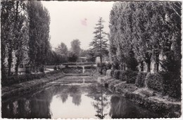 CARRIERES-SUR-SEINE - Vue Du Parc - CPSM PF Timbrée 1956 - Carrières-sur-Seine