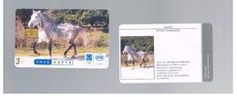 GRECIA (GREECE) -  2003  ANIMALS: HORSE  -  USED - RIF.   199 - Paarden