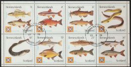 GB Scotland Bernera Island Block Fishes Cat. Gallery Set 5A  Used  Perf. - Cinderellas