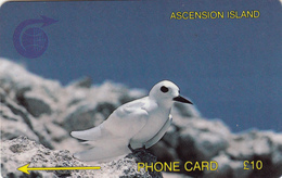 Ascension -  Phonecard - Superb Fine Used Phonecard - Islas Ascensión