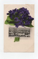 CPA Zug Zoug Suisse Fleurs 1907 - Zug