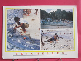 Seychelles - Mahé - Fish Catch At Beau Vallon - Scans Recto-verso - Seychelles