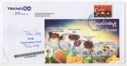 LOCAL FOOD  2017 TURKEY,TURQUIE,TURKEI USED COVER - Storia Postale