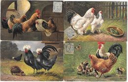 4 CPA Par August MUELLER - MUNICH - BASSE-COUR  COQS,POULES;POUSSINS.GRENOUILLE.HERISSON 216-366-442 - Mueller, August - Munich