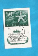 1952  Bf- 2  TRIESTE B  JUGOSLAVIJA  SLOVENIA LITORALE ISTRIA  FIUME  USED    INTERESSANTE - Afgestempeld