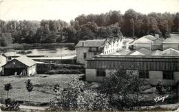 Près ORADOUR SUR VAYRES - L'usine De La Monnerie Et L'étang. - Oradour Sur Vayres