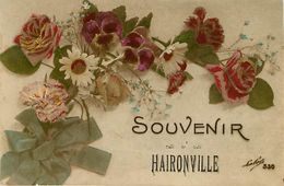 95 Haironville - Souvenir De - Sonstige Gemeinden