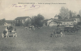 10 // ROMILLY SUR SEINE  Vaches Au Paturage  Ferme De Barbanthall - Romilly-sur-Seine