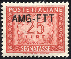 2110 SEGNATASSE 1954 - 25 Lire, Nuovo Tipo Di Soprastampa (25A), Ottima Centratura, Gomma Originale Integ... - Sonstige & Ohne Zuordnung