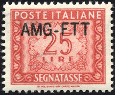 2111 SEGNATASSE 1954 - 25 Lire, Nuovo, Soprastampa  (25A), Ottima Centratura, Gomma Originale Integra, Pe... - Other & Unclassified