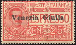 2190 VENEZIA GIULIA ESPRESSI 1919 - 25 Cent. Soprastampato (1), Gomma Integra, Perfetto.... - Autres & Non Classés