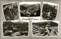 41276659 Lautenthal Harz Teilansichten Lautenthal Kirche Marktplatz Rehkitz Laut - Langelsheim