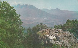 CARTOLINA - POSTCARD - STATI UNITI - TEXAS - SAN ANTONIO - PANORAMA - San Antonio