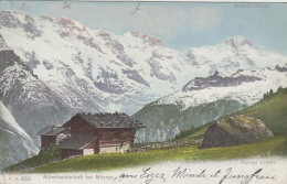 Suisse - Mürren - Alpenlandschaft Bei Mürren - Mürren