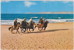 ALGERIE,AFRIQUE DU NORD,équilibriste à Cheval,FANTASIA,ARME,FUSIL,COURSE,bord De Mer,sable - Oran