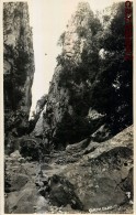 CARTE PHOTO : SERIE TRUYOL MALLORCA ISLAS BALEARES ESPANA - Other & Unclassified