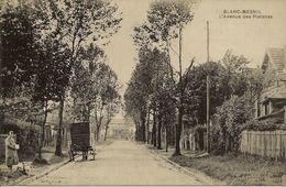 CPSM Le Blanc Mesnil, Avenue Des Platanes - Le Blanc-Mesnil