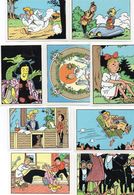 Lot Van 9 Stickers - Suske En Wiske / Bob Et Bobette / 1995 - Suske & Wiske