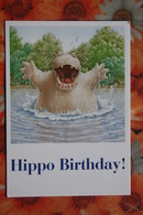 Hippo Birthday - Hippopotamus -  Modern Postcard - Humour - Hippopotames