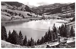 Lac Noir - Schwazsee - Fribourg - Fribourg