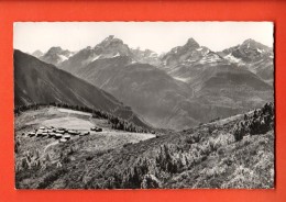 GBU-44  Wiesenalp Mit Piz D'Apia, Tinzenhorn Und Piz Michèl. Gelaufen. - Wiesen