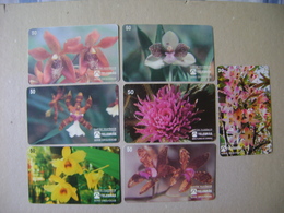 7 TELEPHONE CARDS OF FLOWERS (BRAZIL) - Fleurs
