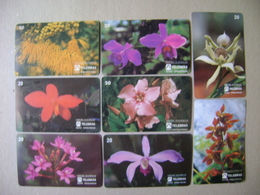 8 TELEPHONE CARDS OF FLOWERS (BRAZIL) - Fleurs