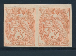 * N°109 - Paire - ND - TB - 1900-29 Blanc