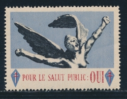 ** DE GAULLE - Vignette Pour Le Salut Public : Oui - Avec Gomme - TB - Bevrijding