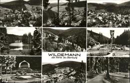 41276639 Wildemann Kurpark Pavillon Spiegelbad Blick Von Den Drei Birken Oberer - Wildemann