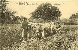 CP CONGO BELGE - BELGISCHE CONGO : KITOBOLA " Faucheuse Mécanique  " Surcharge De 15 Centimes - Dumont Arthur Géomètre - Entiers Postaux