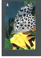 SINGAPORE -  1994   BUTTERFLIES: COMMON TREE NYMPH - USED -   RIF. 10414 - Farfalle