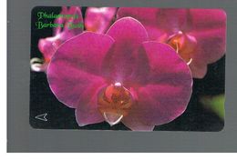 SINGAPORE -  1996 FLOWERS: ORCHID PHALAENOPSIS B. BUSH        - USED -   RIF. 10418 - Fleurs