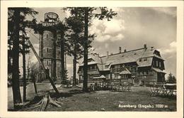 41258274 Auersberg Wildenthal Berghotel Auersberg  Auersberg - Eibenstock