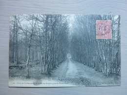 Forêt De Châteauneuf - L'Allée Des Soupirs Prise Du Rond Point - Châteauneuf