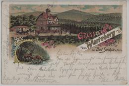 Gruss Vom Wareberg Bei Bad Sascha Am Harz - Lithographie Litho - Bad Sachsa