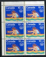 1975 10 Cent + 5 Cent Semi Postal Stamp #B5  Block Of 6 - Nuevos