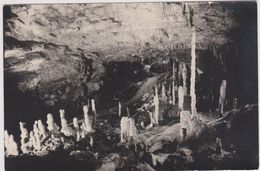 SLOVENIE,SLOVENIA,carniole Interieure,GROTTE,POSTOJNA,TROU DU MONDE,cave,caverne,spéologie,stalactite - Slovenia