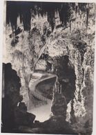 SLOVENIE,SLOVENIA,carniol E  Interieure,GROTTE,POSTOJN A,TROU  DU MONDE,cave,caverne,spéolo Gie,stalactite - Slovenia